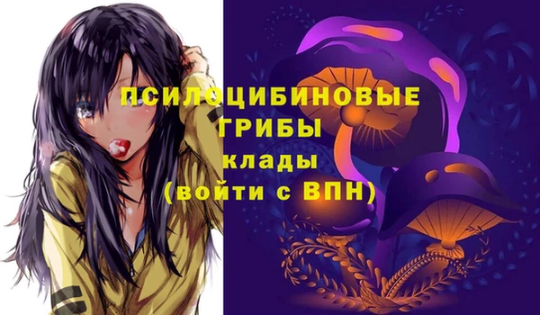 индика Сосновоборск